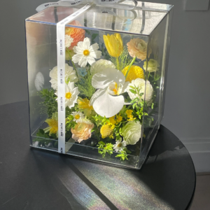 春日小花园 (little)